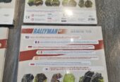 Rallyman GT KS in italiano completo