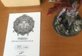 KINGDOM DEATH: MONSTER KDM PARIAH – FIRST RUN COLLECTOR’S EDITION – DIPINTO