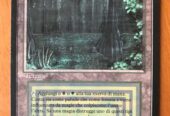 BAYOU ITALIANO BORDO NERO TERRA DOPPIA – MTG MAGIC THE GATHERING FBB DUAL LAND