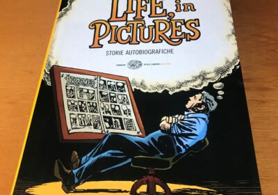 Life-in-pictures_1