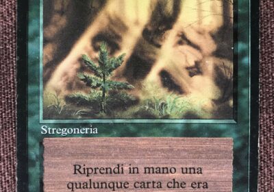 Magic_Regrowth-FBB_ita_1