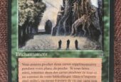 SYLVAN LIBRARY – BIBLIOTECA SILVESTRE – French FBB RENAISSANCE – MTG MAGIC