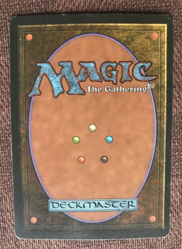 SYLVAN LIBRARY – BIBLIOTECA SILVESTRE – French FBB RENAISSANCE – MTG MAGIC