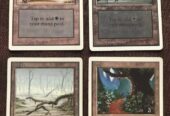 3x Palude Unlimited + Foresta Unlimited + Foresta Italiana Bordo Nero – Magic: The Gathering MTG