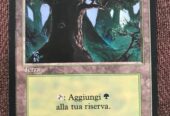 3x Palude Unlimited + Foresta Unlimited + Foresta Italiana Bordo Nero – Magic: The Gathering MTG